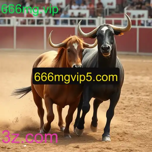 Rinha de galos